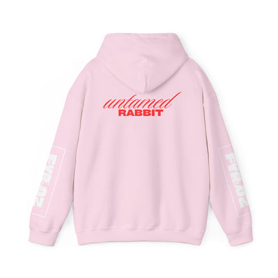 Hoodie, Untamed Rabbit – Wild & Playful Bunny Aesthetic Design Animal Tee, Unisex Cartoon Shirt, Eco-Friendly Fashion, Gift for Nature Lovers, Boho Style Wear