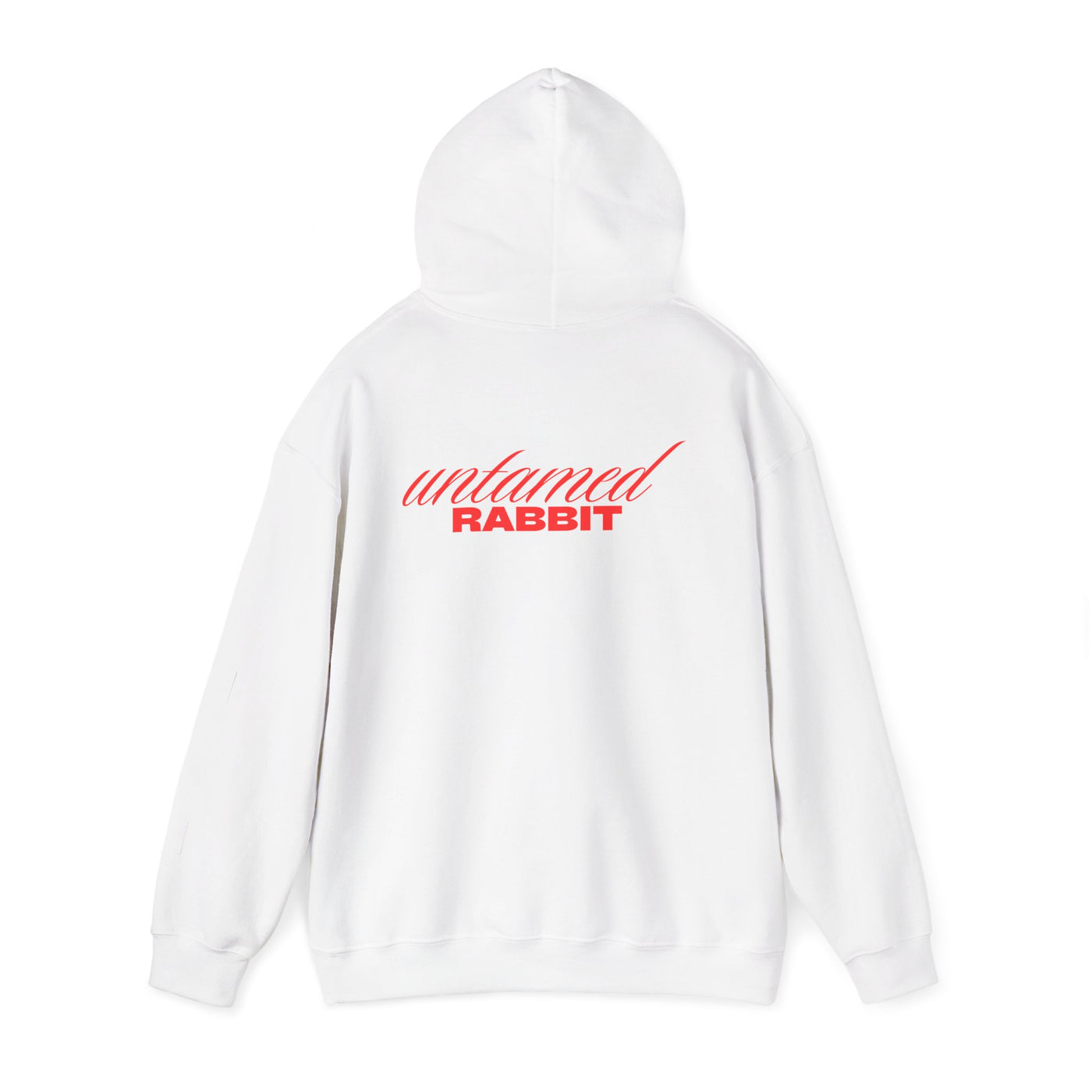 Hoodie, Untamed Rabbit – Wild & Playful Bunny Aesthetic Design Animal Tee, Unisex Cartoon Shirt, Eco-Friendly Fashion, Gift for Nature Lovers, Boho Style Wear