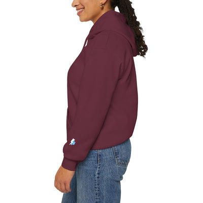 Music-Inspired Unisex Hoodie for Anderson .Paak Inspired Design – Funky Soul & Groove ArtFans, Casual Wear, Music Festival Outfit, Gift for Musicians, Punk Rock Style Hoodie