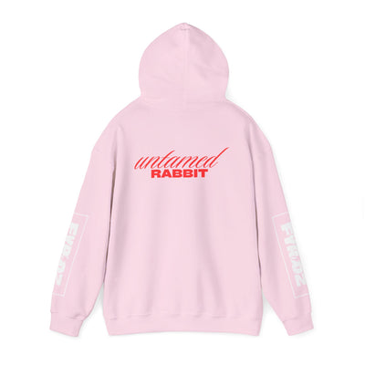 Hoodie, Untamed Rabbit – Wild & Playful Bunny Aesthetic Design Animal Tee, Unisex Cartoon Shirt, Eco-Friendly Fashion, Gift for Nature Lovers, Boho Style Wear